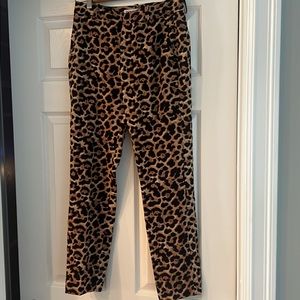Zara leopard print pants size USA 2